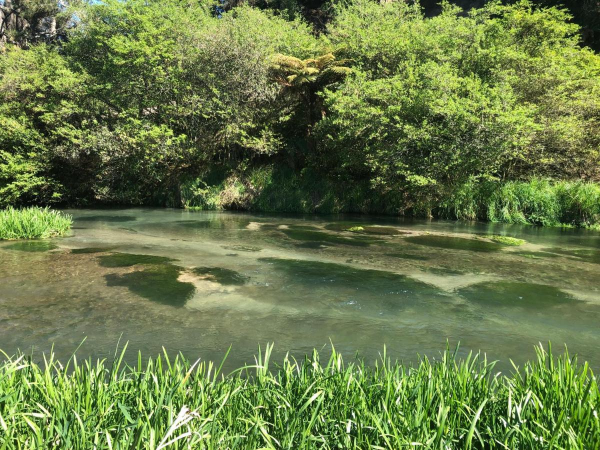 Вілла A1 Troutfishing At Tirau Екстер'єр фото